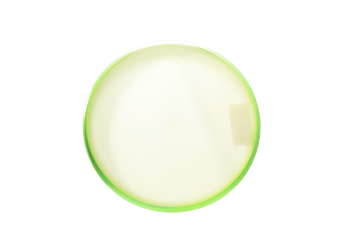 Axiom Blank Eclipse Proxy Putter