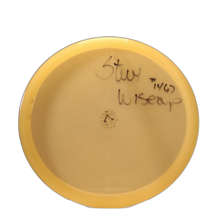 Innova Gift Glow Champion Roc3 Midrange