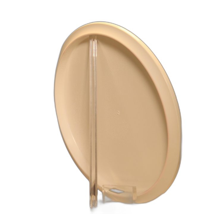 Discraft 2019 Worlds Full Foil SuperColor Buzzz Midrange