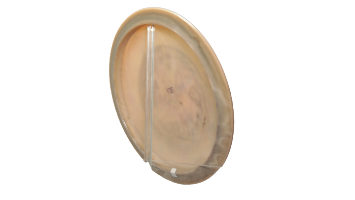 Innova KJ Nybo Swirled Star Teebird Fairway Driver