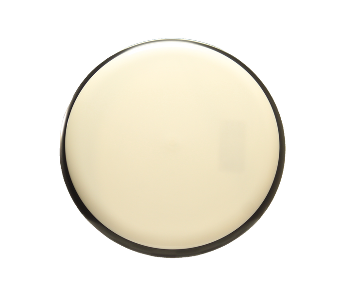 MVP Blank Neutron Spin Putter