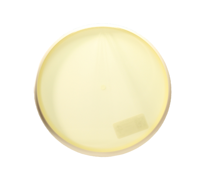 MVP Blank Eclipse Watt Putter