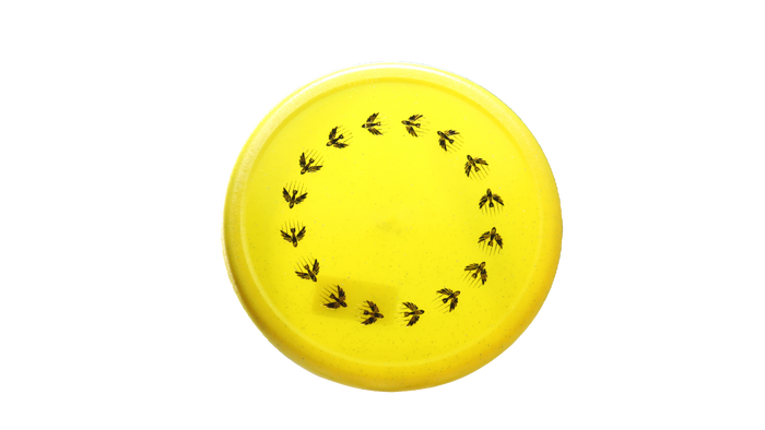 Infinite Discs Metal Flake Glow C-Blend Glyph Putter
