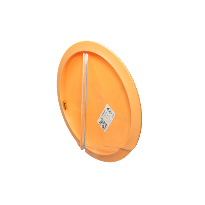 X Line Cicada Back View