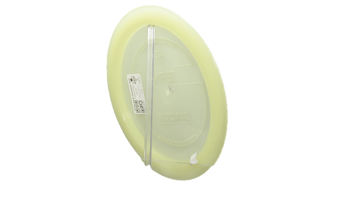 Proto Glow Champion Tern Back View