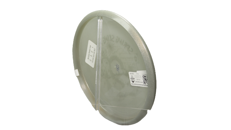 2025 Spring Sling Moondust Champion Aviar Back View