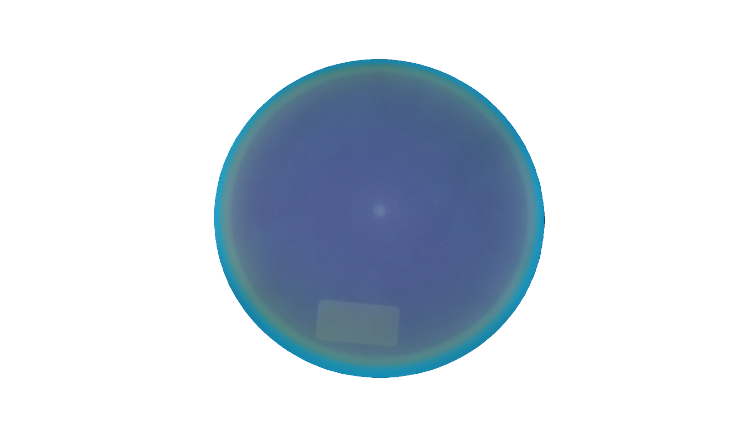 Axiom Blank Total Eclipse Proxy Putter Front View