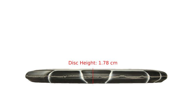 Dynamic Discs Classic Orbit Emac Judge Putter Profile View