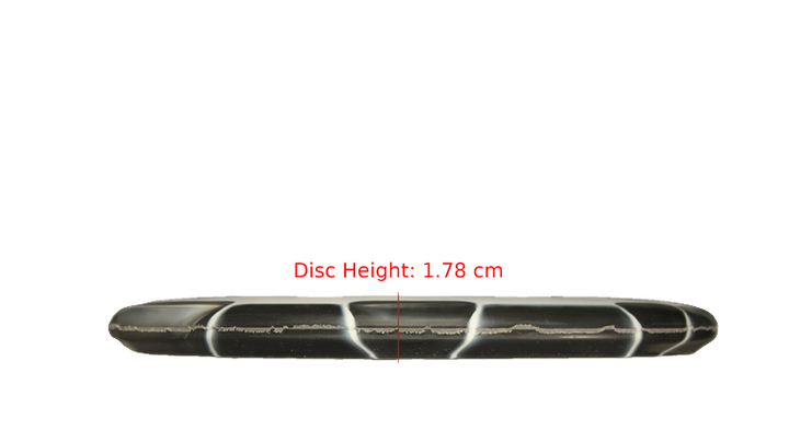 Dynamic Discs Classic Orbit Emac Judge Putter Profile View