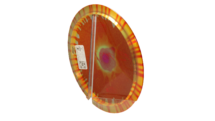 Discraft Paul McBeth Fly Dye Z Athena Fairway Driver Back View