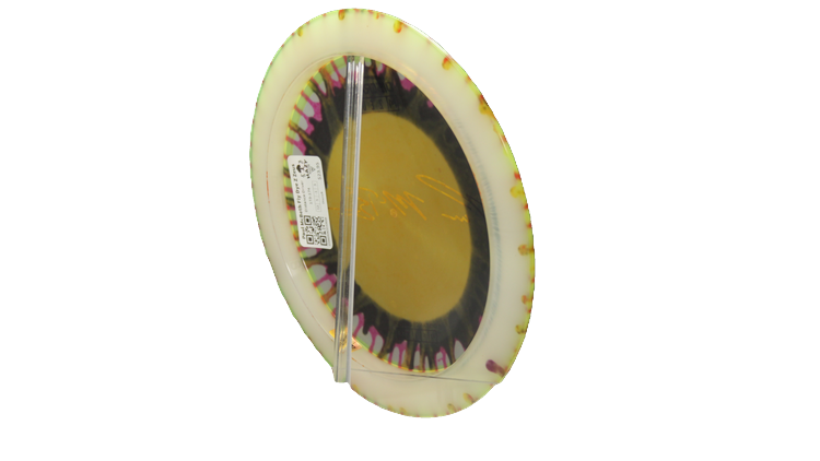 Discraft Paul McBeth Fly Dye Z Zeus Distance Driver Back View