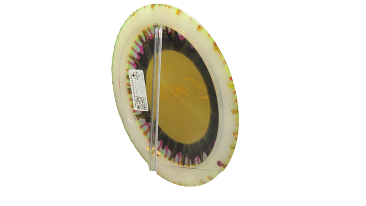 Discraft Paul McBeth Fly Dye Z Zeus Distance Driver Back View