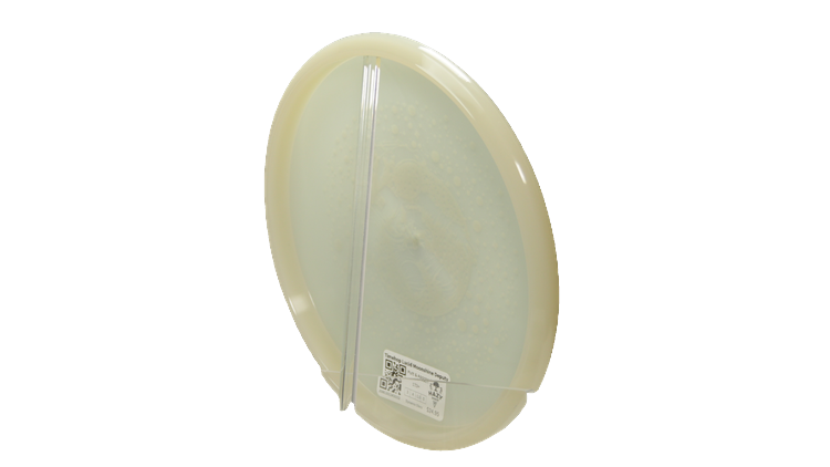 Dynamic Discs Timehop Lucid Moonshine Deputy Putter Back View