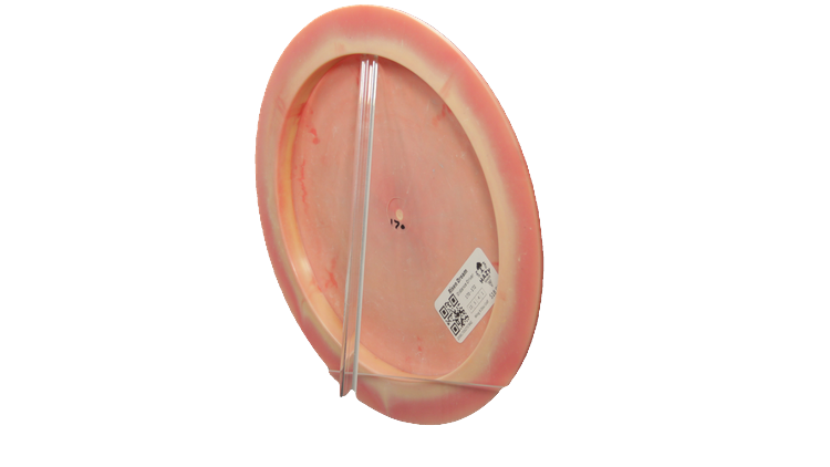 Wing It Disc Golf Risen Dream Distance Driver Back View