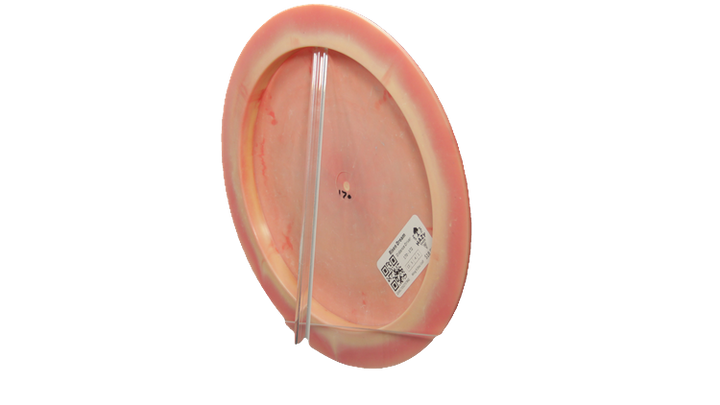 Wing It Disc Golf Risen Dream Distance Driver Back View