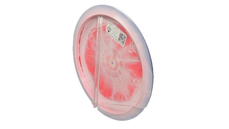 Discraft 2025 Anthony Barela Tour Series ESP Cigarra Fairway Driver Back View