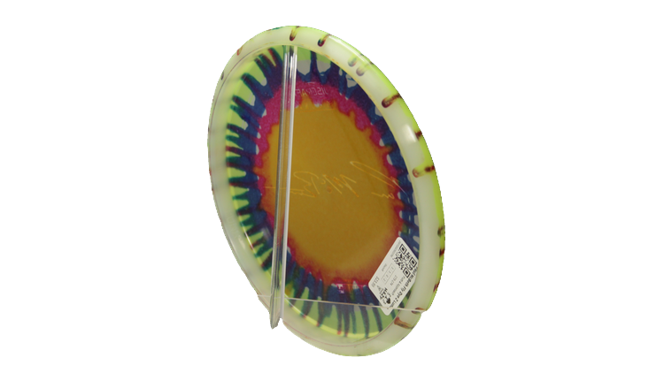 Discraft Paul McBeth Fly Dye Z Luna Putter Back View