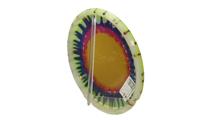 Discraft Paul McBeth Fly Dye Z Luna Putter Back View