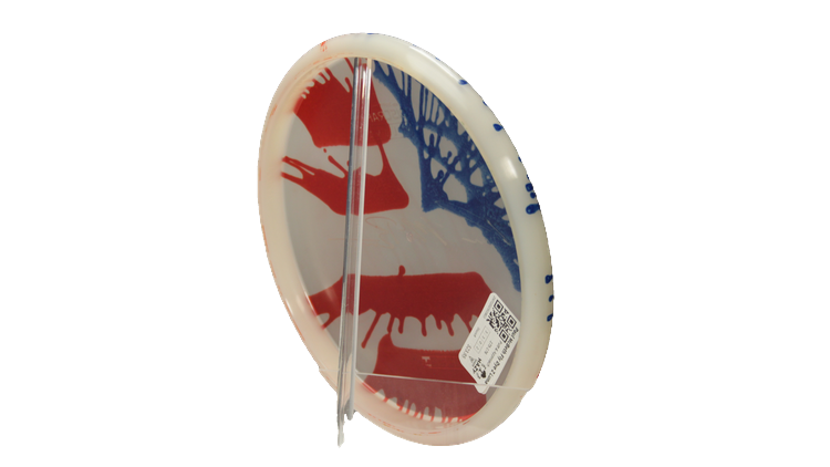 Discraft Paul McBeth Fly Dye Z Luna Putter Back View