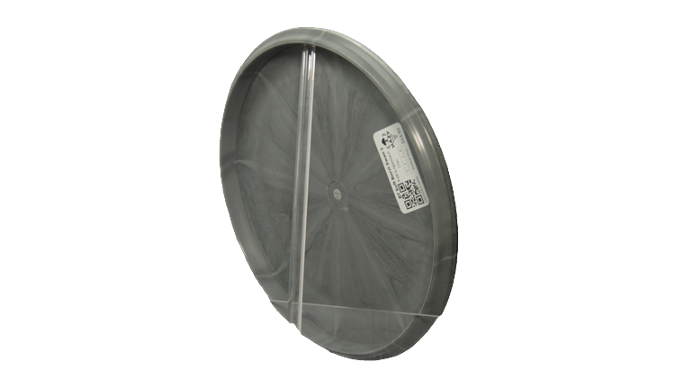 Westside Discs BT Soft Burst Swan 2 Putter Back View