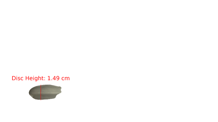 Westside Discs BT Soft Burst Swan 2 Putter Profile View