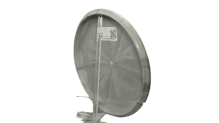 Westside Discs BT Medium Burst Swan 2 Putter Back View