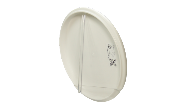 Dynamic Discs Classic Soft Judge Putter Back View