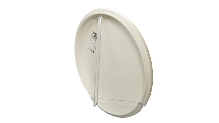 Dynamic Discs Classic Judge Putter Back View