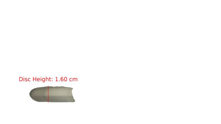 Dynamic Discs Classic Blend Burst Warden Putter Profile View