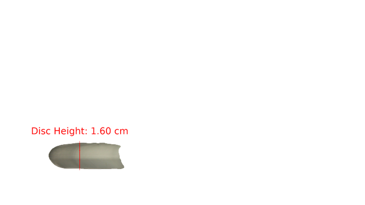Dynamic Discs Classic Blend Burst Warden Putter Profile View