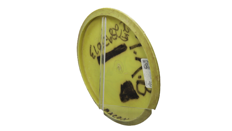 Innova USED Circle Stamp DX Stingray Midrange Back View