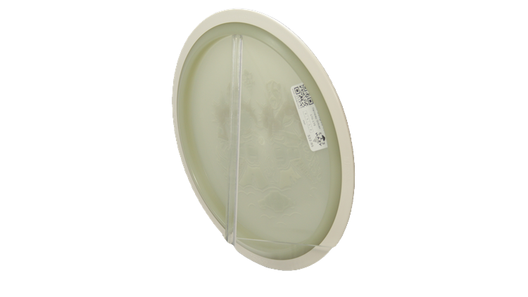 MVP BYOP 2025 Eclipse Tesla Fairway Driver Back View