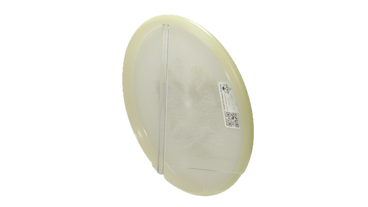 Axiom BYOP 2025 Total Eclipse Proxy Putter Back View