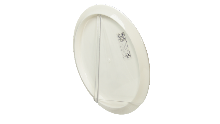Streamline BYOP 2025 Neutron Turbulence Fairway Driver Back View