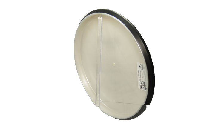 MVP Plasma Nomad Putter Back View