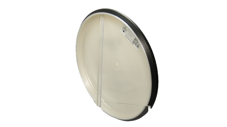 MVP Plasma Nomad Putter Back View