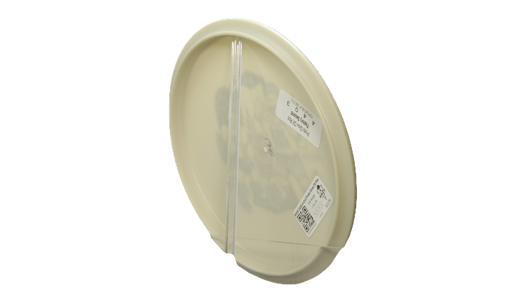 Innova BYOP 2025 X-Out Proto Glow DX Roc Midrange Back View