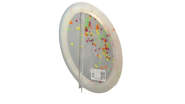 Dino Discs Egg Shell Allosaurus Distance Driver Back View