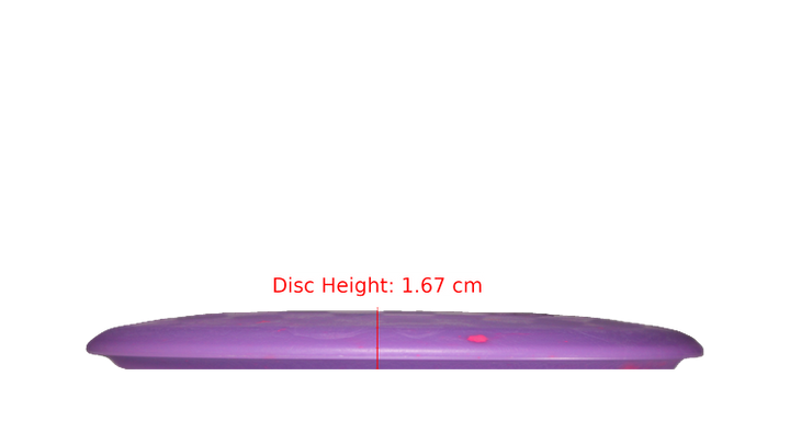 Dino Discs Egg Shell Brachiosaurus Midrange Profile View