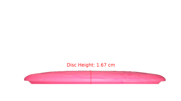 Dino Discs Egg Shell Brachiosaurus Midrange Profile View
