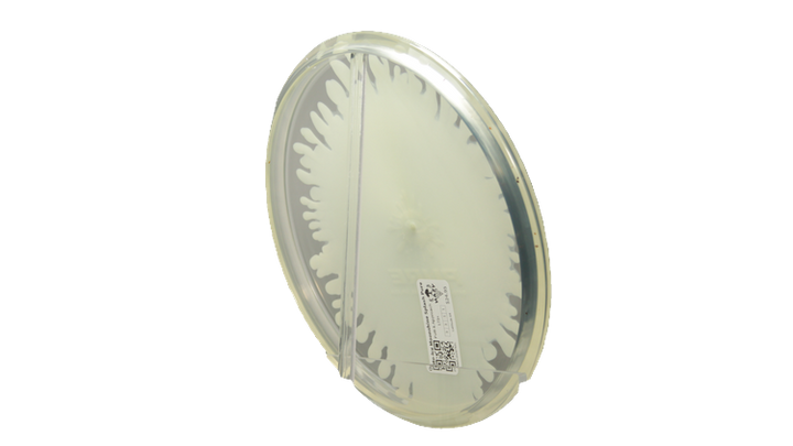 Latitude 64 Opto-Ice Moonshine Splash Pure Putter Back View