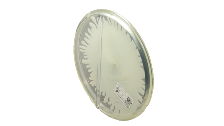 Latitude 64 Opto-Ice Moonshine Splash Pure Putter Back View