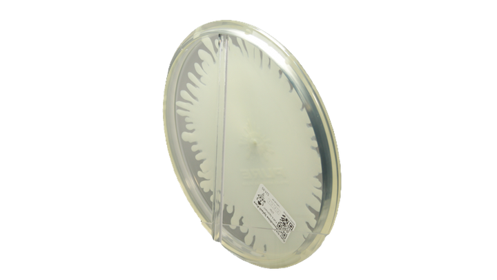 Latitude 64 Opto-Ice Moonshine Splash Pure Putter Back View