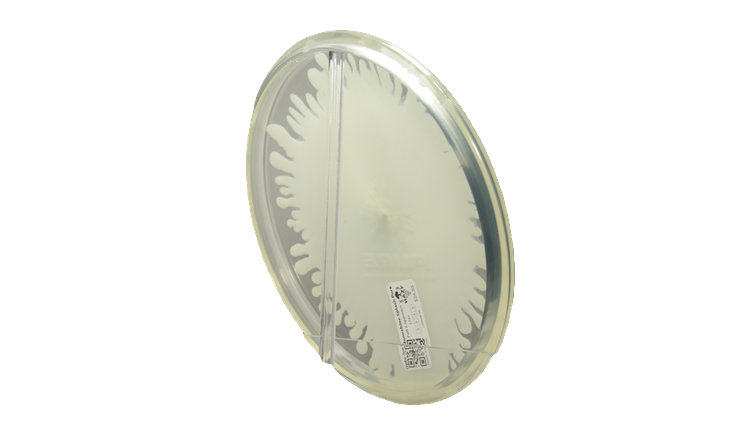 Latitude 64 Opto-Ice Moonshine Splash Pure Putter Back View