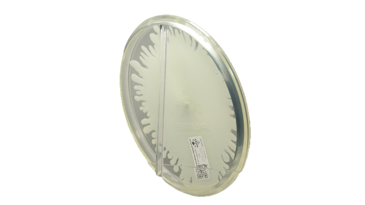 Latitude 64 Opto-Ice Moonshine Splash Pure Putter Back View