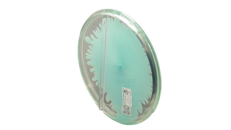 Latitude 64 Opto-Ice Moonshine Splash Pure Putter Back View