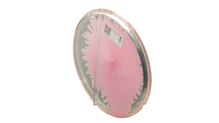 Latitude 64 Opto-Ice Moonshine Splash Pure Putter Back View