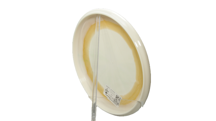 Westside Discs Tournament Ring Maiden Putter Back View