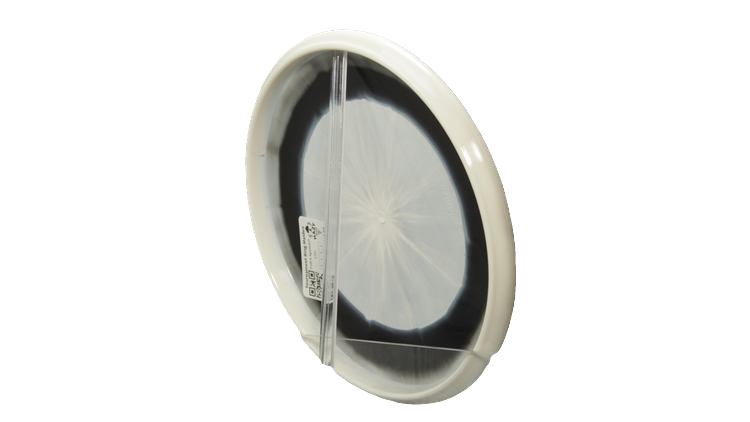 Westside Discs Tournament Ring Maiden Putter Back View