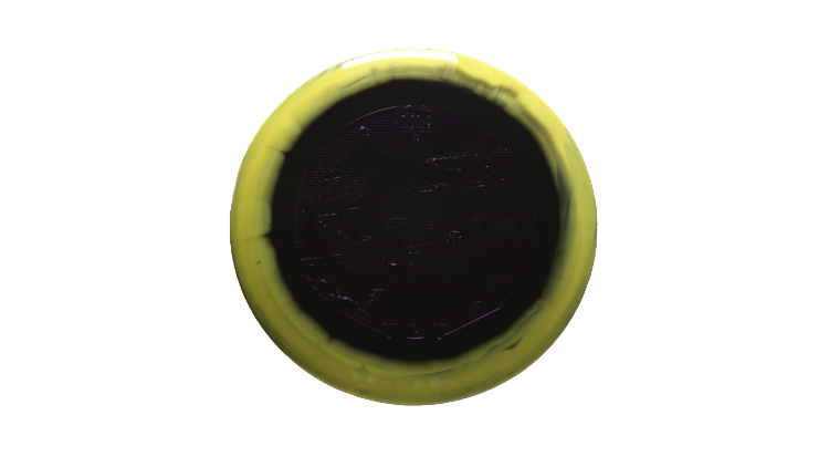 Discmania 2025 Sky Walker Casey White Signature Series Horizon S-Line FD2 Fairway Driver Front View